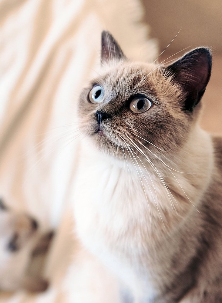 Photograph by Екатерина Коломыцева