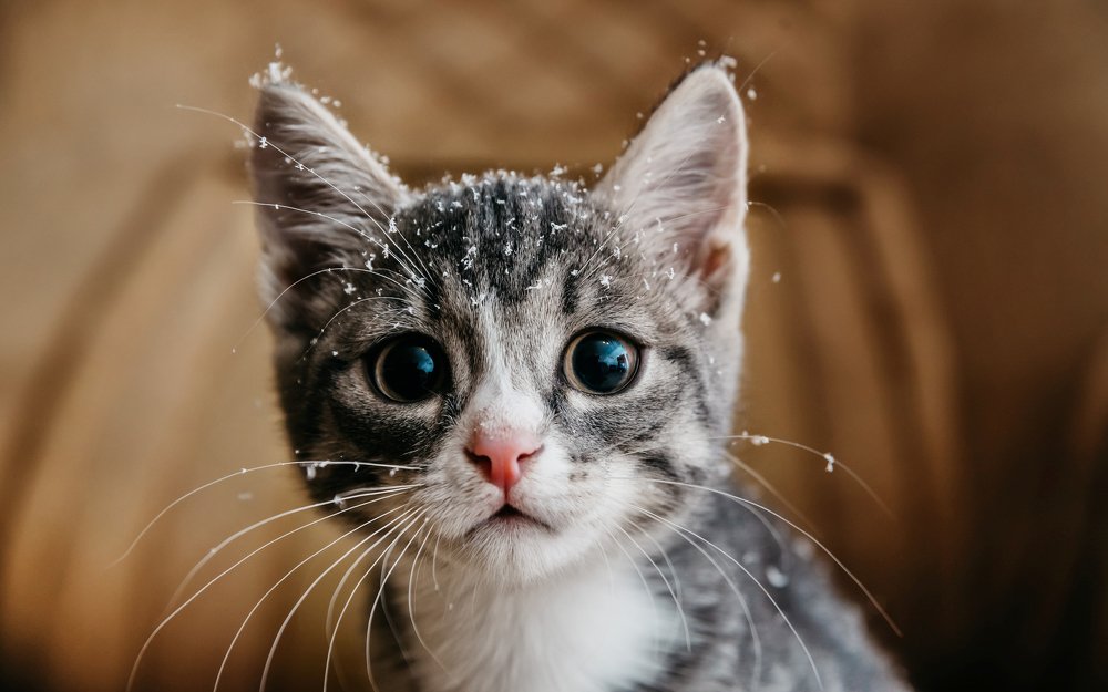 Photograph by Ольга Шацкая