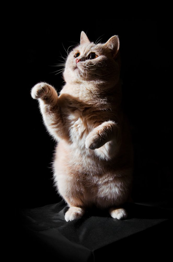 Photograph by Ольга Шацкая