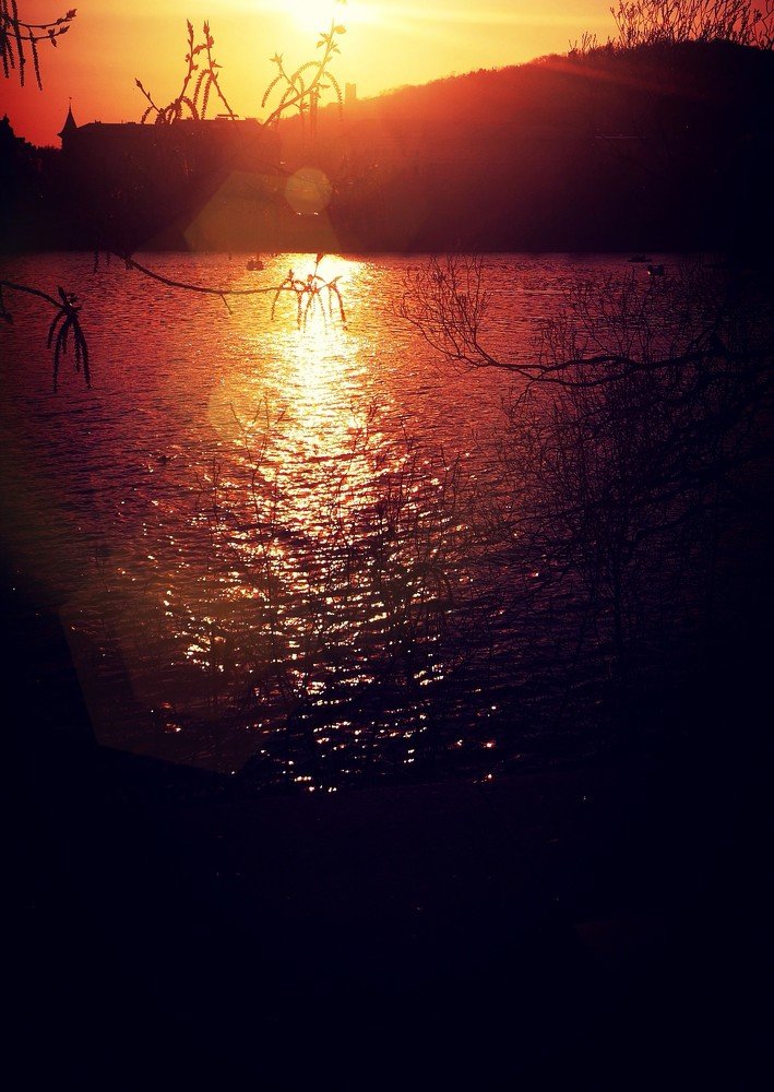 Photograph by Татьяна Чернышова