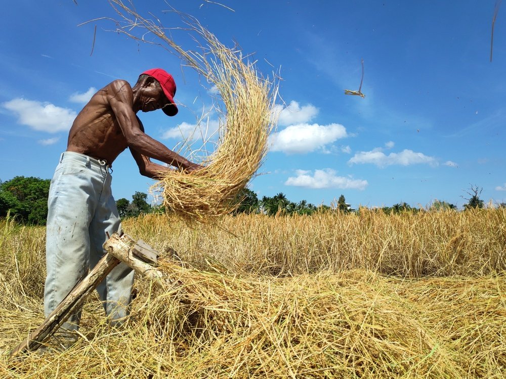 Harvesting crops