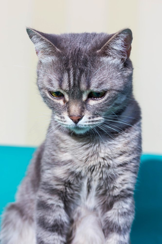 Сейчас заплачу...