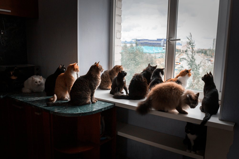 План побега...