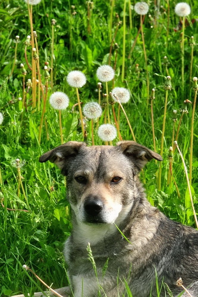 Утреннее настроение