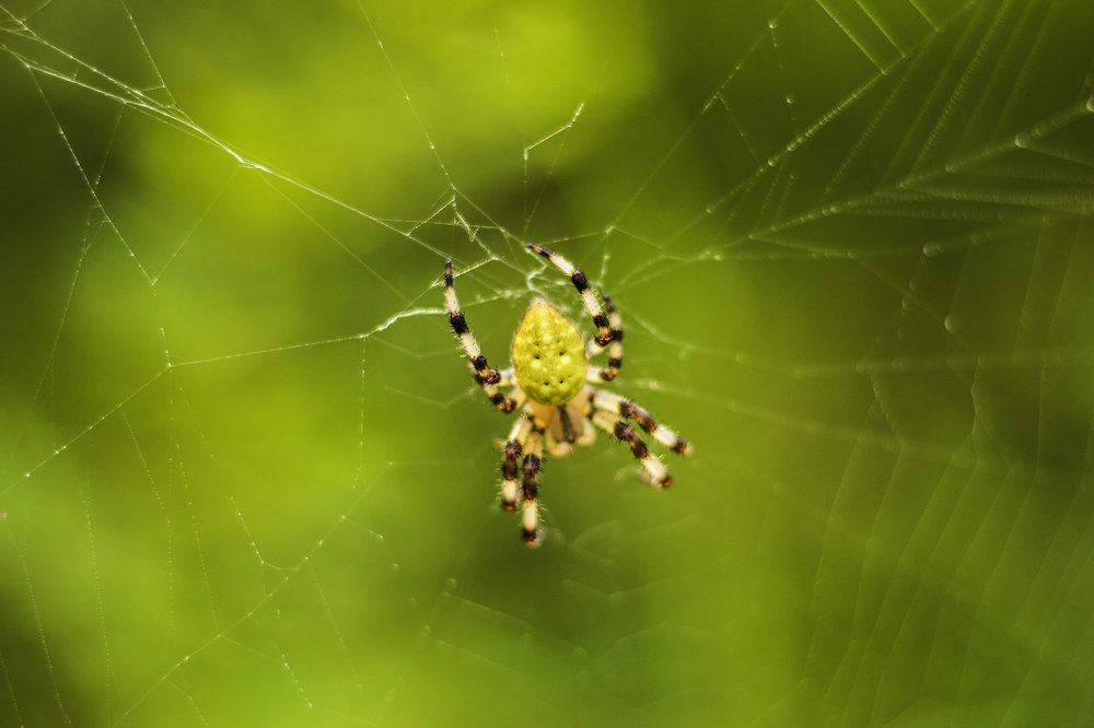 Photograph by Мария