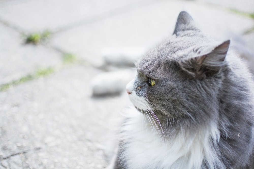 Photograph by Сергей Лубинец