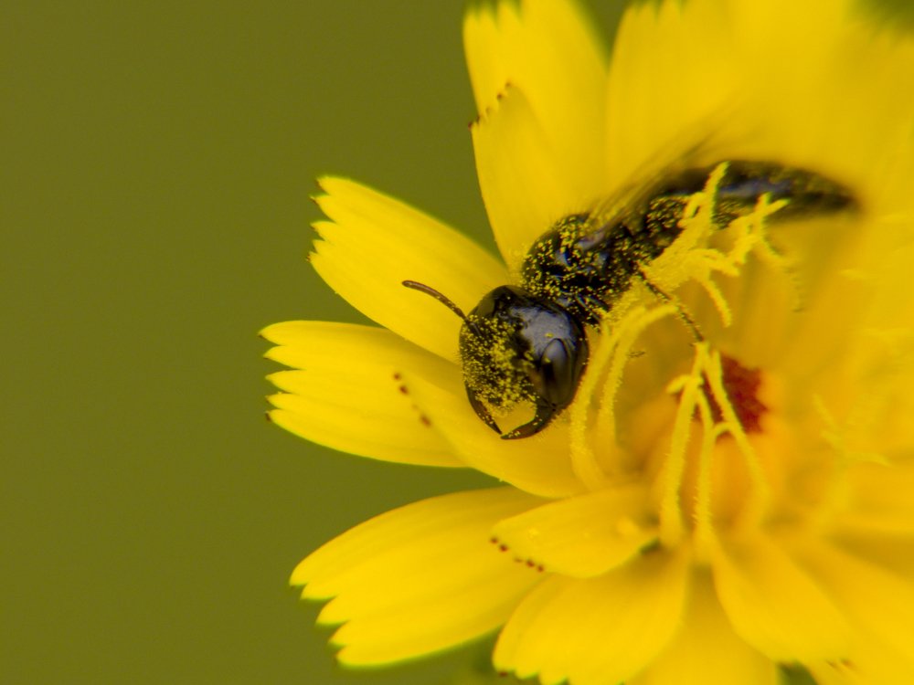 Photograph by Иван Доможирский