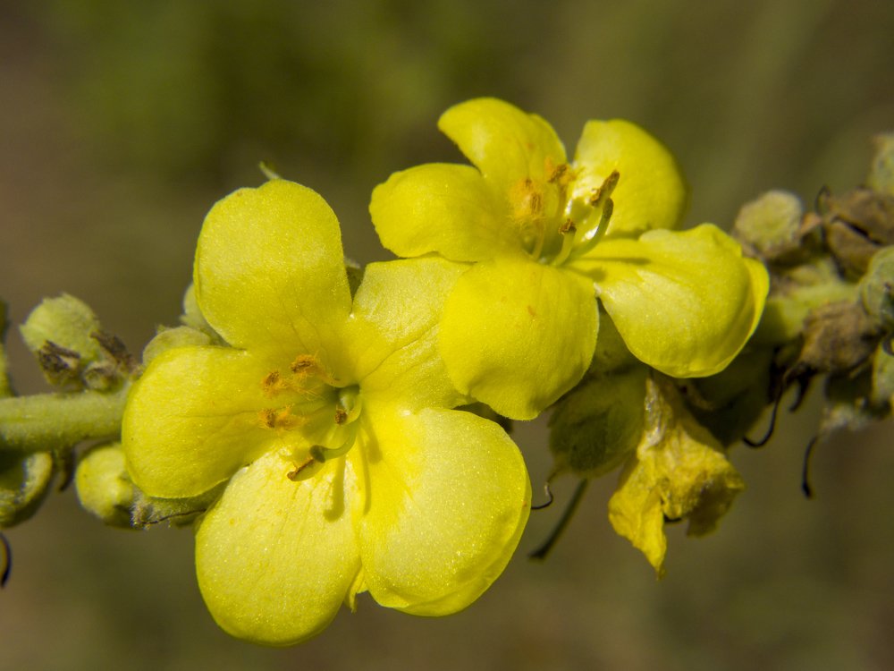 Photograph by Иван Доможирский