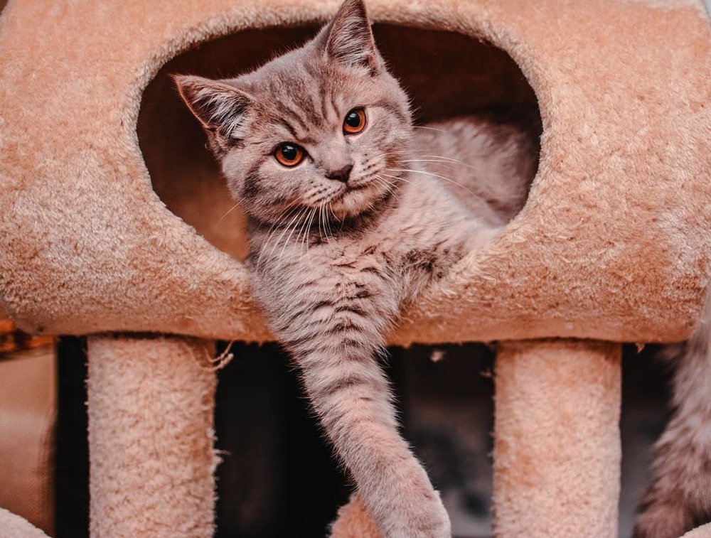 Photograph by Алексей Немчинов