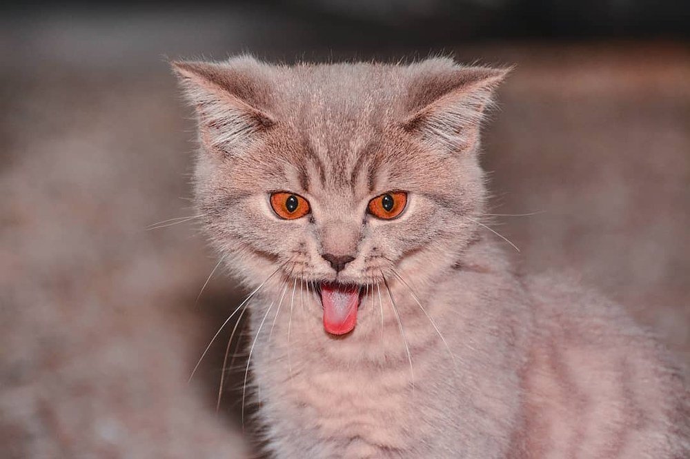 Photograph by Алексей Немчинов