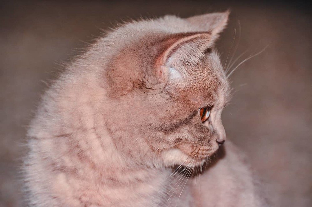 Photograph by Алексей Немчинов