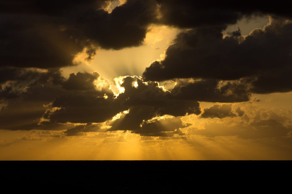 Photograph by Максим Захаров