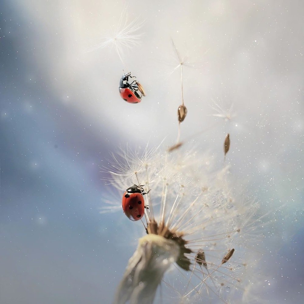 Photograph by Тарасова Ольга