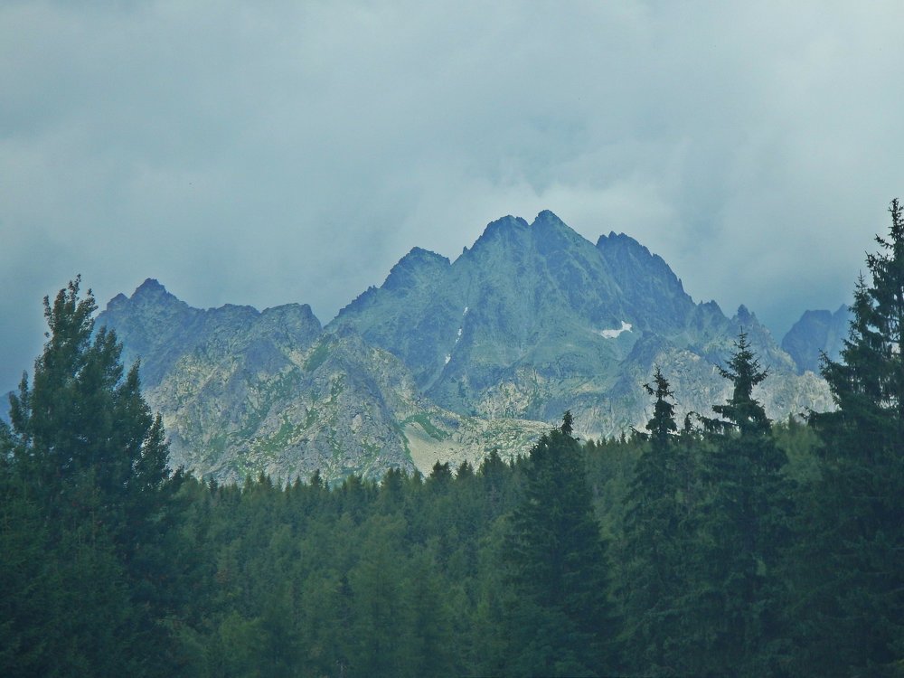 Nature is good friend