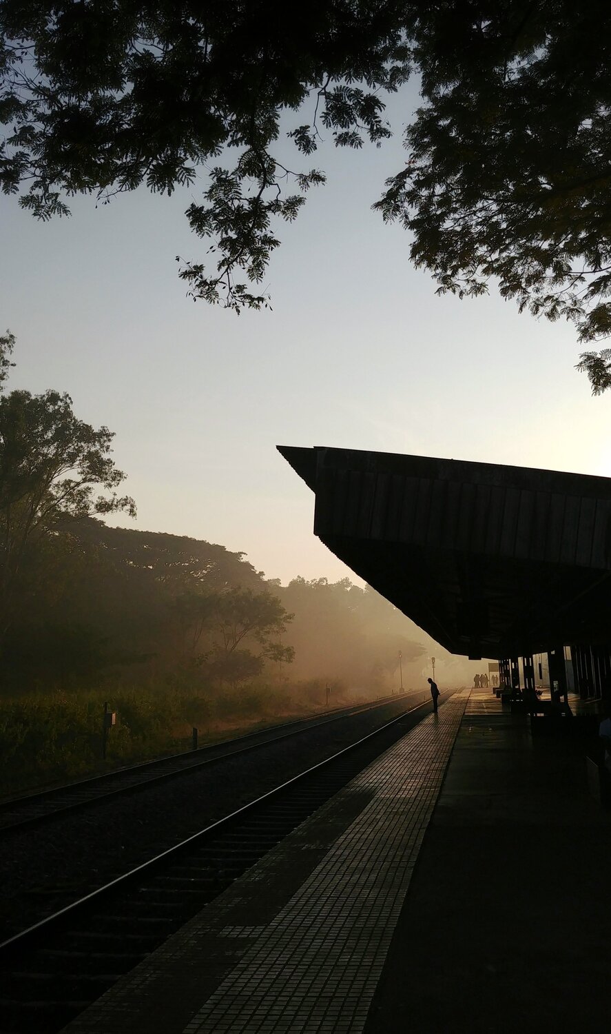 The lonely morning