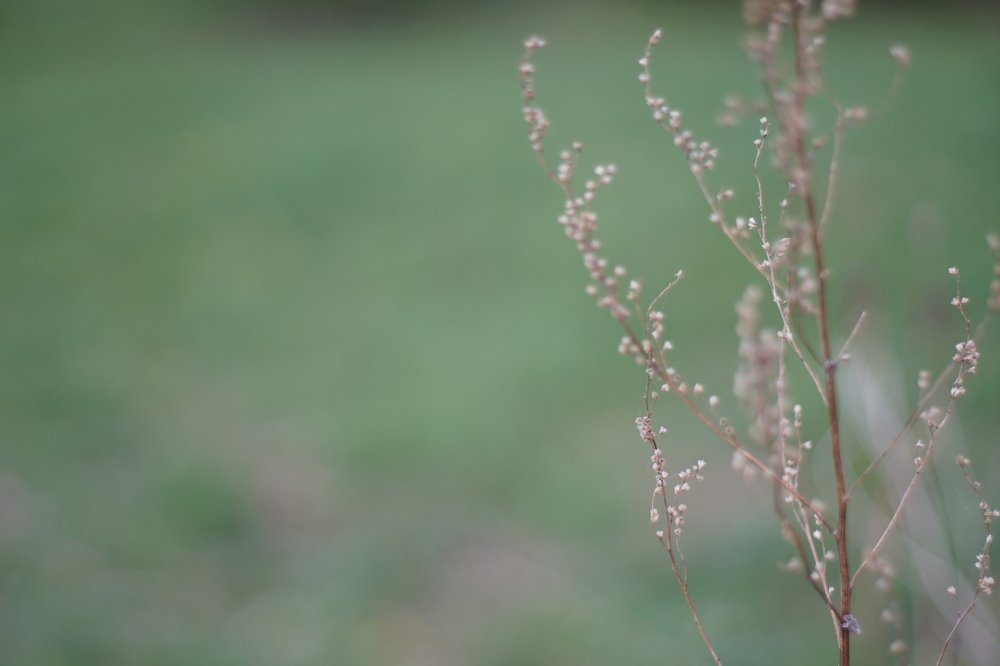 Нежный рассвет