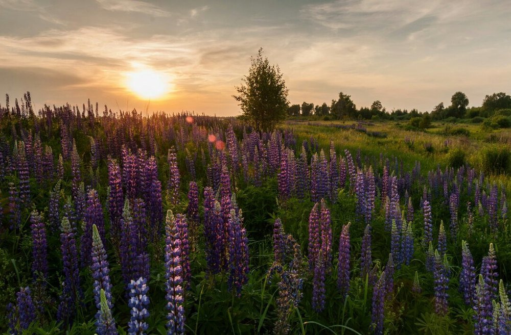 Photograph by Андрей Папанов