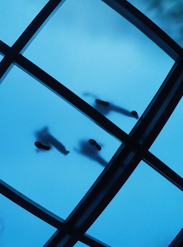 STAND UP. MOVE FORWARD.