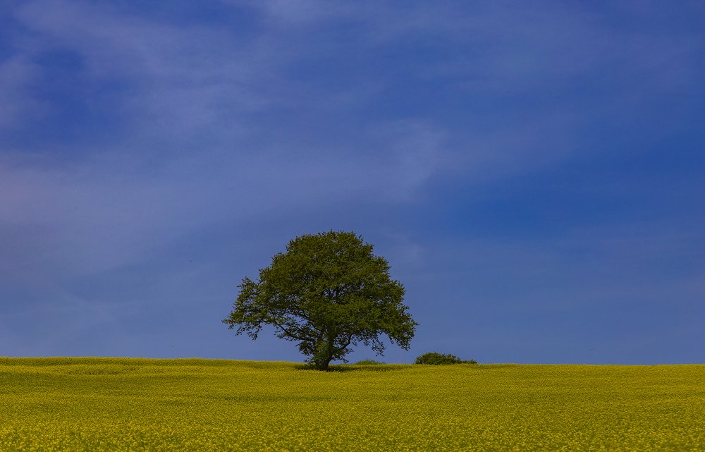 In the Middle of No Where