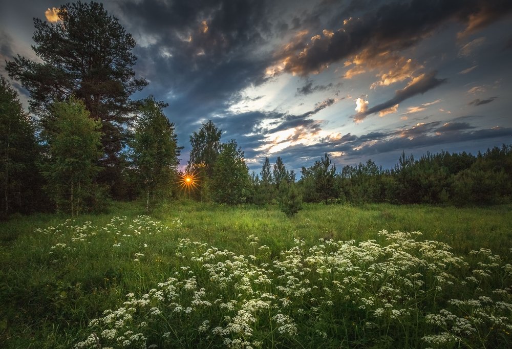 Photograph by Евгений Луцко