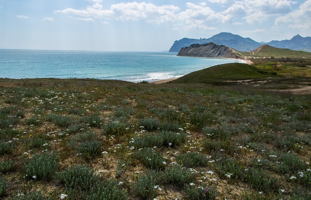 Тихая бухта