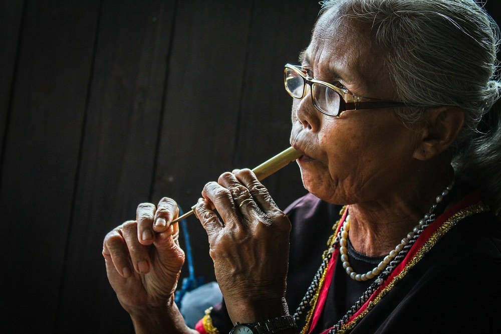 Pemangil Burung