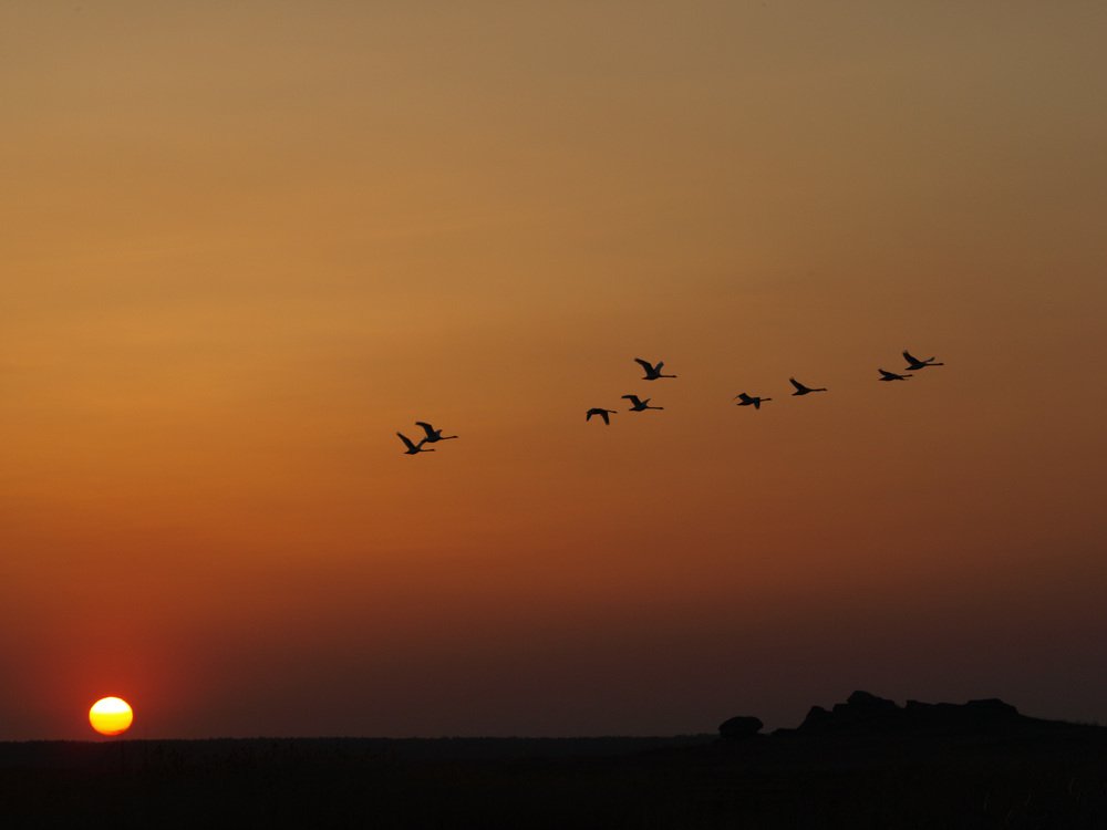 Photograph by Александр