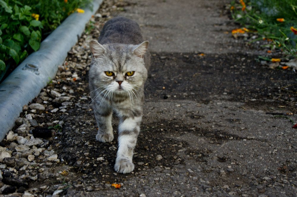 На случай серьезных переговоров