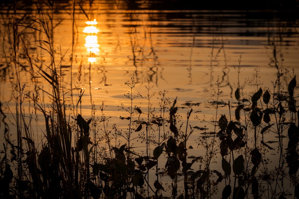 Отражение заката