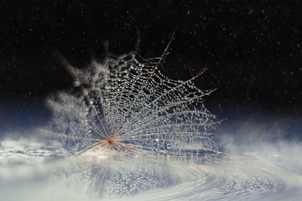 Частичка космоса