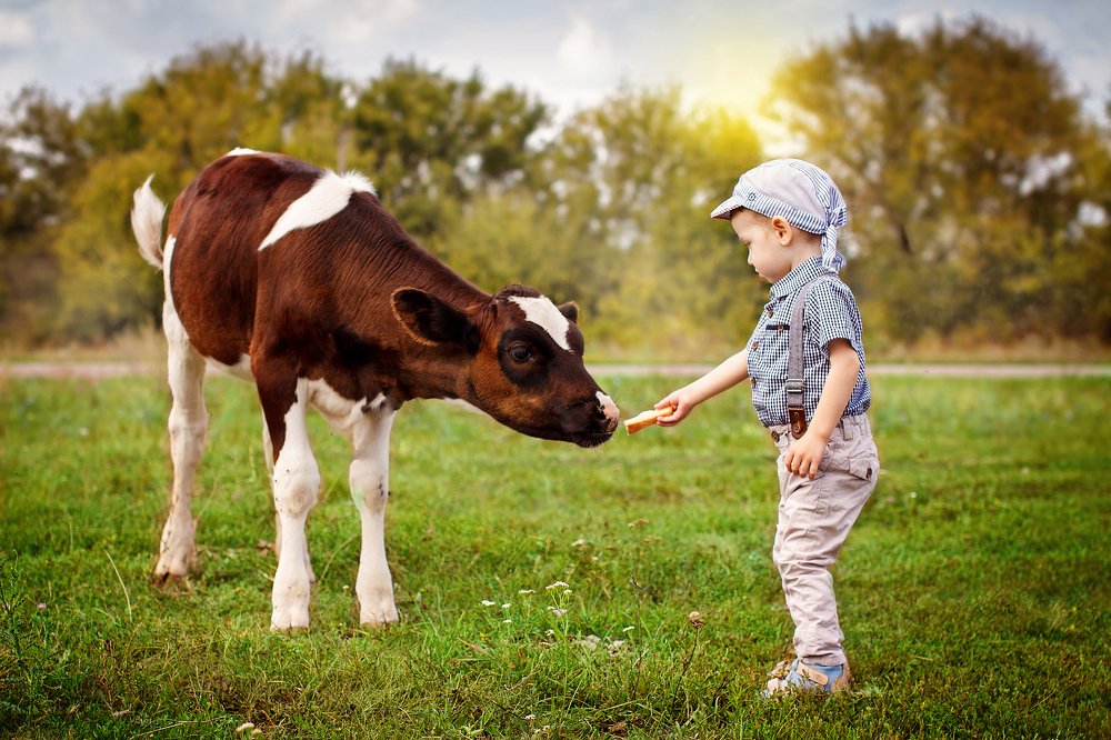 Первая встреча