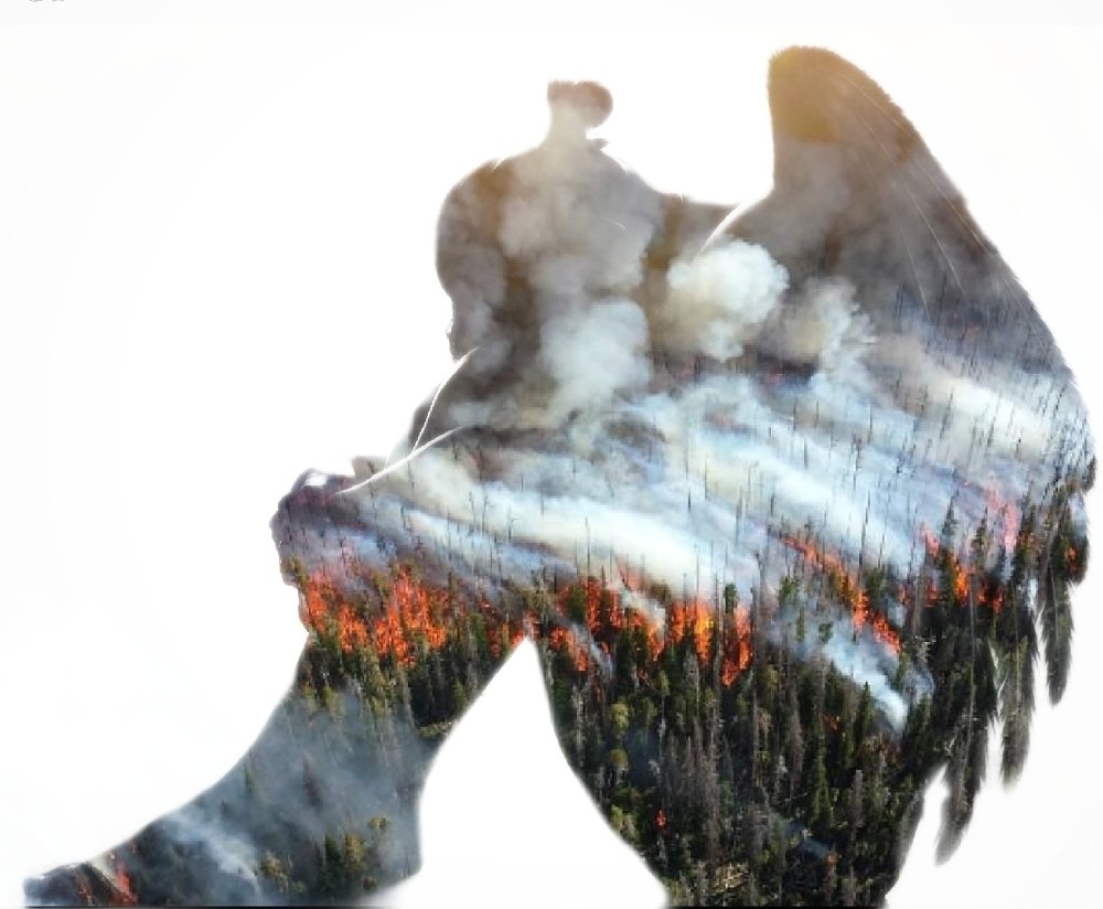 Пожар в Сибири