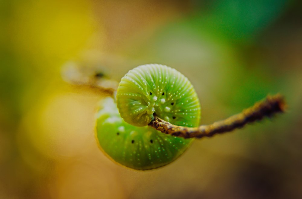 В ожидании чуда