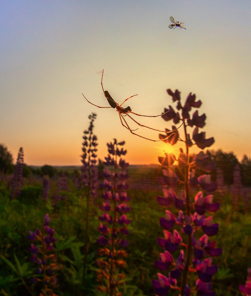 Еще не вечер....
