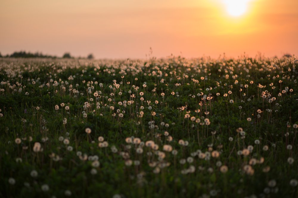 Летний закат