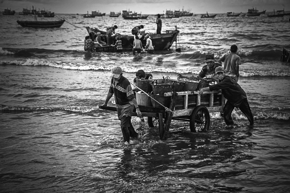 Người vận chuyển