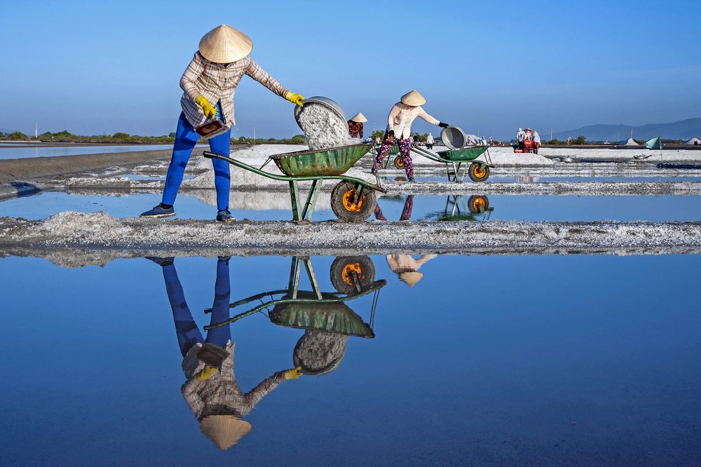 Nhịp điệu lao động