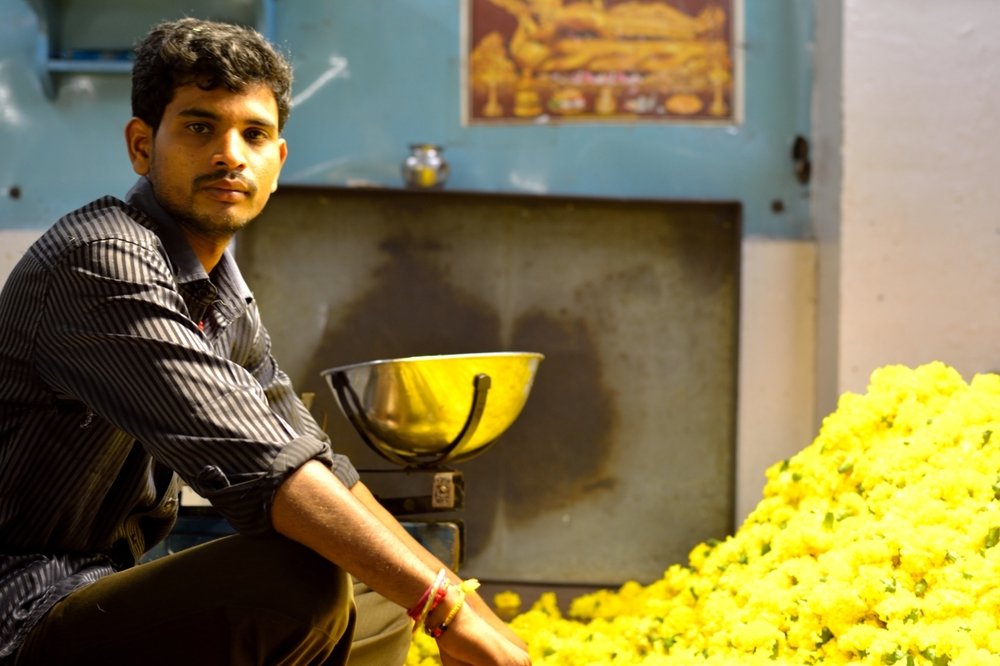 Chrysanthemum vendor