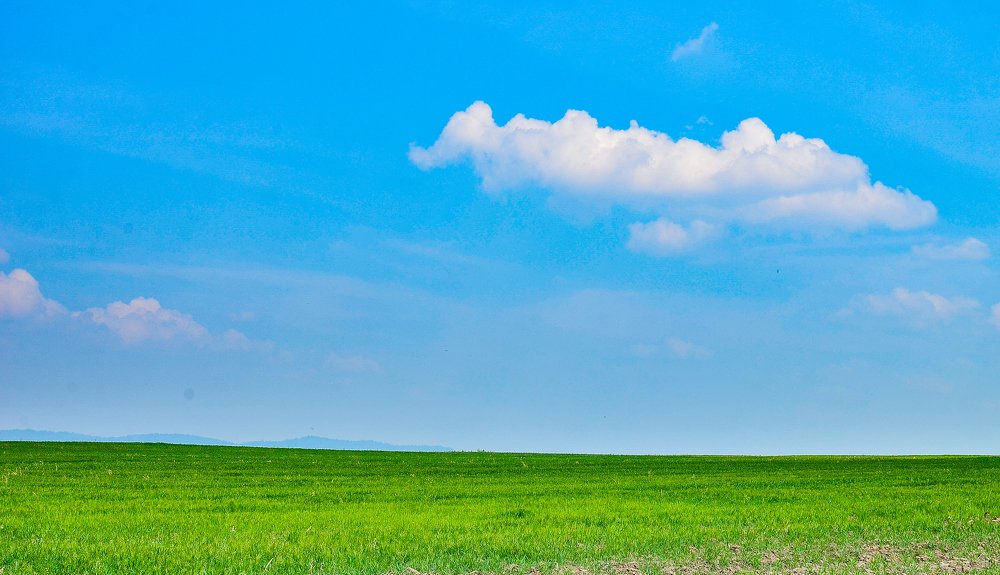 Просторы Сибири