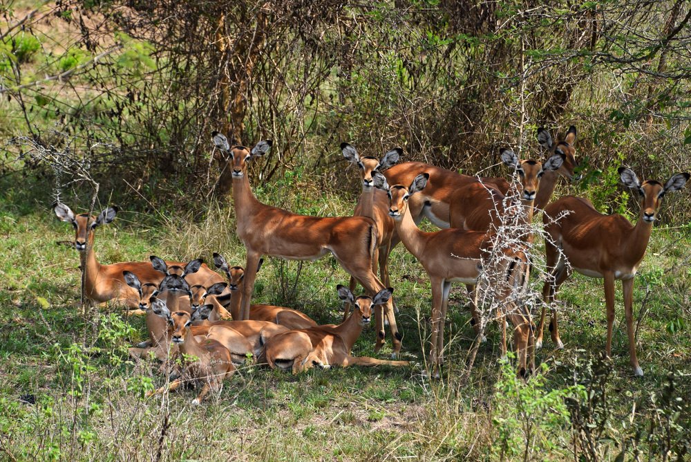 Photograph by Надежда Дорошенко