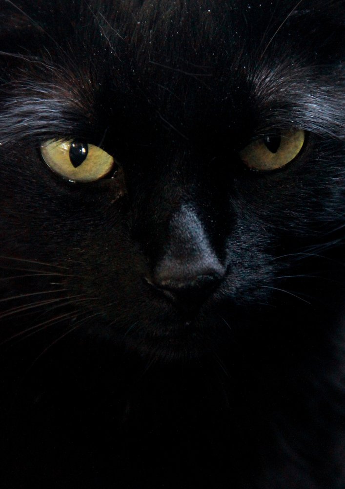 я слежу за тобой