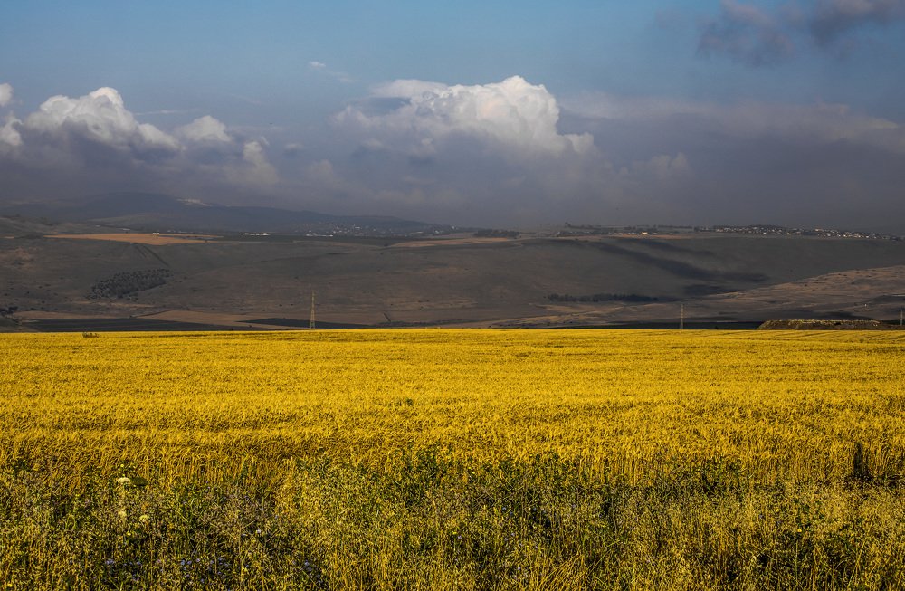 Photograph by Leonid Lan