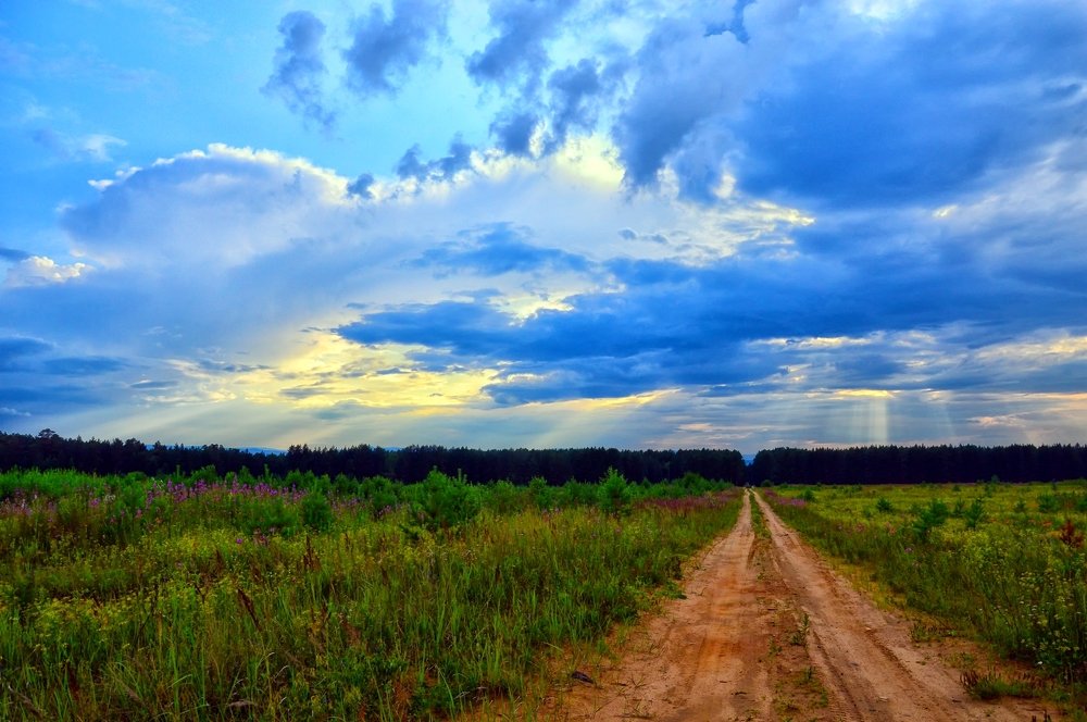 Летний вечер