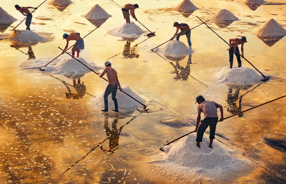 Harvesting salt