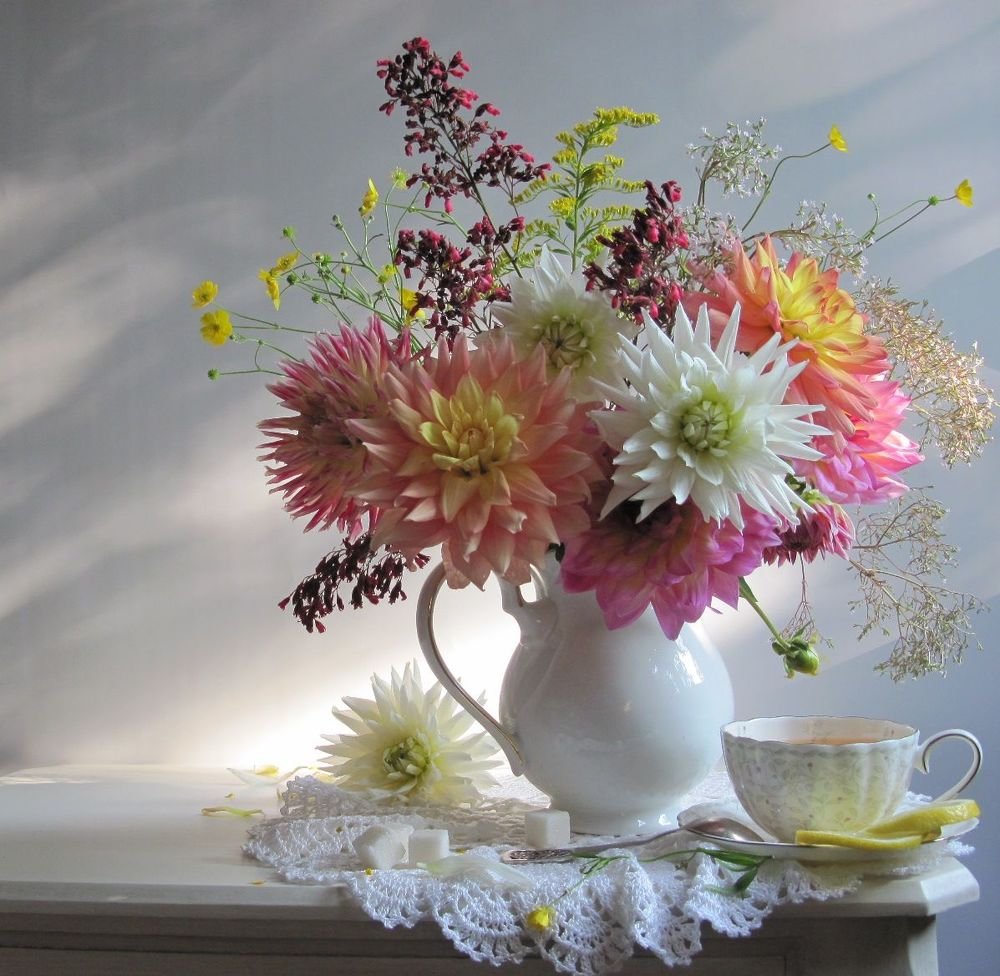 Дачные трофеи