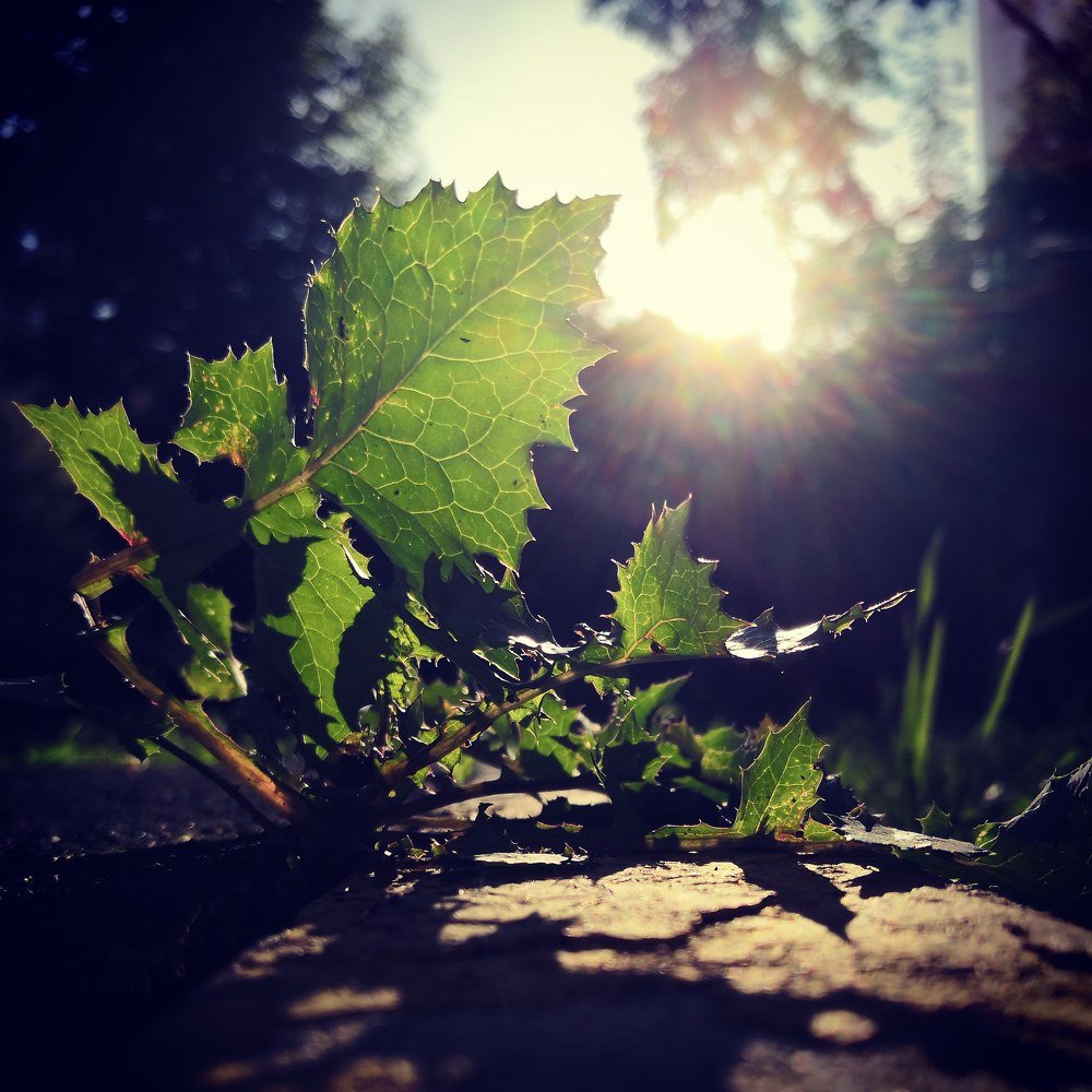 Photograph by Юлия Колоскова