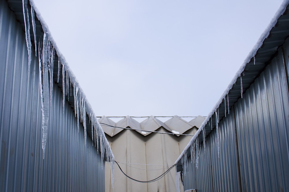 Photograph by Елена Стещенко