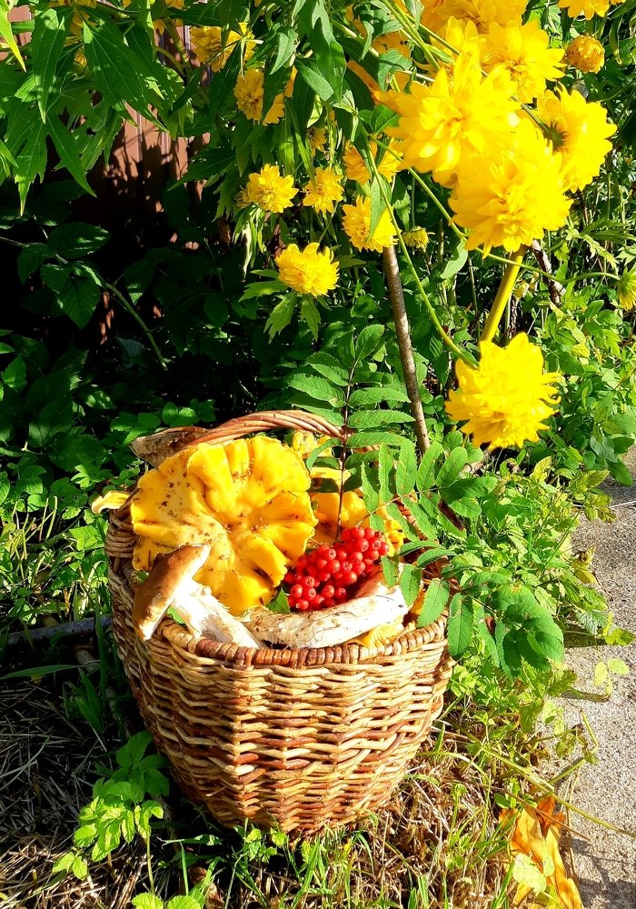 Дары августа