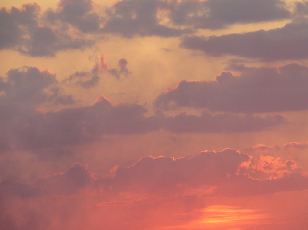 Photograph by Елена Лапина