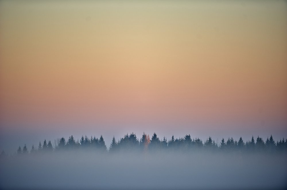 Photograph by Константин Зернов